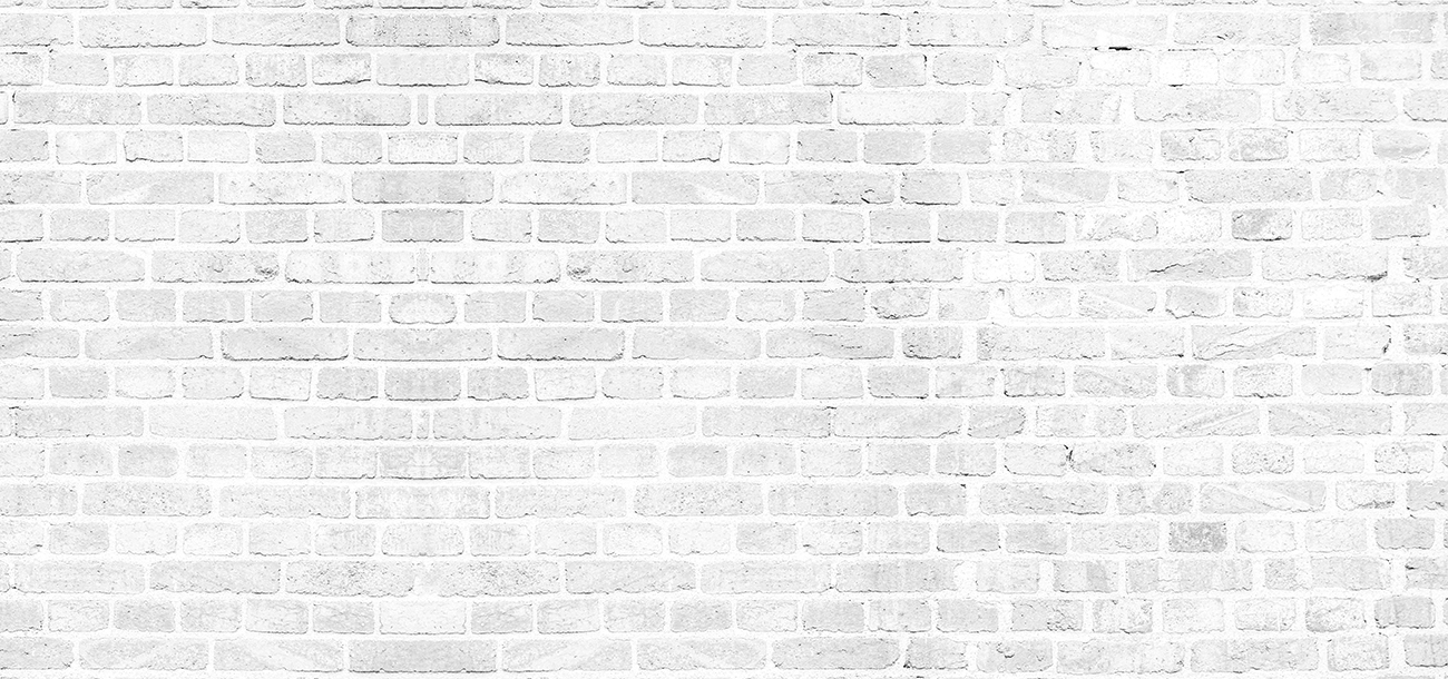 0212 white brick wall